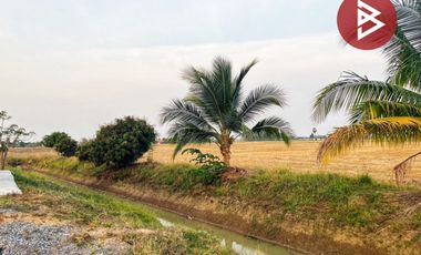 ขายบ้านเดี่ยวพร้อมที่ดิน เนื้อที่ 2 ไร่ 1 งาน 81 ตร.วา หนองหญ้าไซ สุพรรณบุรี