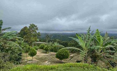 Lahan view indah plaga petang 6 are SHM