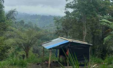 Lahan view indah plaga petang 6 are SHM