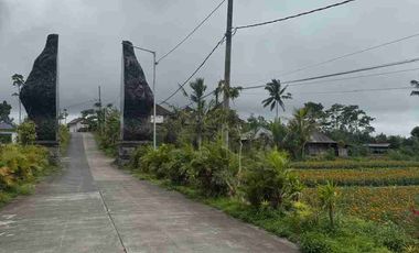 Lahan view indah plaga petang 6 are SHM