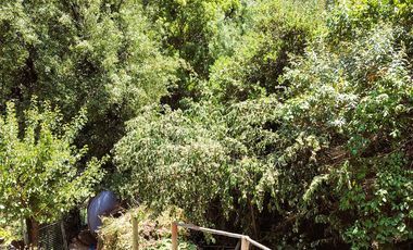 Excelente propiedad en el Arrayán