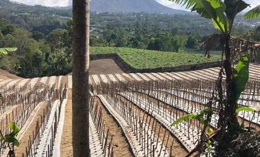 jual tanah pinggan Kintamani view gunung batur