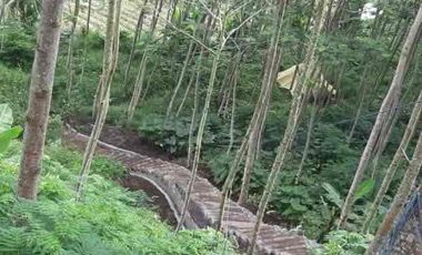 jual tanah pinggan Kintamani view gunung batur