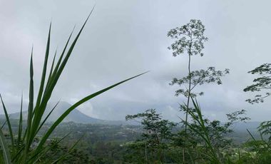 jual tanah pinggan Kintamani view gunung batur
