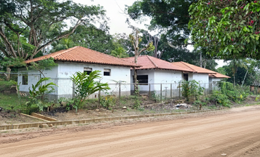 Es el espacio ideal para que los chicos jueguen, para tus mascotas o simplemente para tomarte un café sintiendo la frescura de la zona.