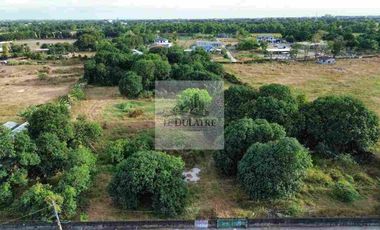 1.5 Hectare Lot with Fence for Mix-Use Development with 2 Road Frontage is For Sale in Brgy Bical, Mabalacat City