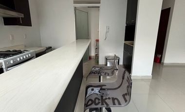 DEPARTAMENTO EN VENTA CON ROOF GARDEN PRIVADO COL. INSURGENTES CUICUILCO