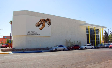 ¡Excelente Oportunidad de hacer CRECER tu Patrimonio! Hermosa casa en Delicias, Chihuahua
