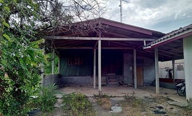 F5-0472 ขายบ้านเดี่ยว ถนนสายบ้านเขาวังบ้านปุลากาซิง ถนนสายปัตตานียะลา ต. ปะโด อ.มายอ จ.ปัตตานี