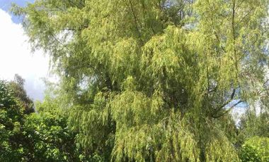 Venta Casa Quinta Campestre Gachancipa Santa Barbara