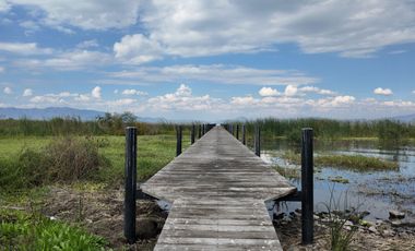 Terreno Frente al Lago de Chapala en Tuxcueca Jalisco Impresionante Vista