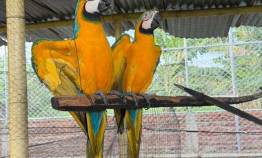 ROZO  VENTA CASA CAMPESTRE