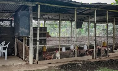 ROZO  VENTA CASA CAMPESTRE