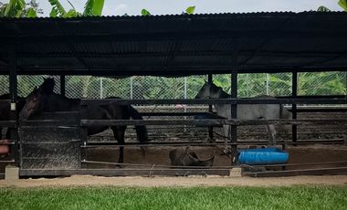 ROZO  VENTA CASA CAMPESTRE