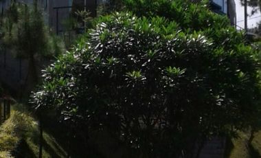 Dijual Rumah Villa Luas Asri di Dago Village