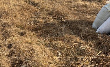 VENTA DE TERRENO MUY AMPLIO EN SAN DIEGO METEPEC TLAXCALA IDEAL FRACCIONAMIENTO
