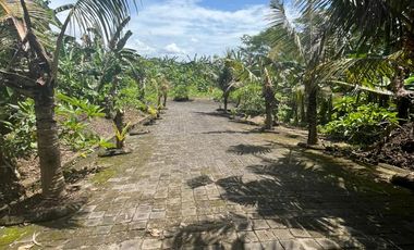 Kavling Premium di Gianyar Cocok untuk Investasi