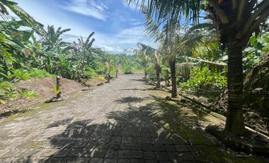 Kavling Premium di Gianyar Cocok untuk Investasi