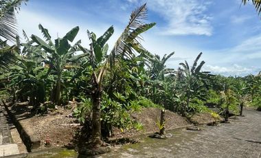 Kavling Premium di Gianyar Cocok untuk Investasi