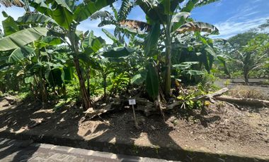 Kavling Premium di Gianyar Cocok untuk Investasi