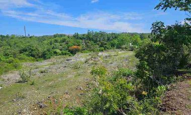 dijual tanah 2,05 hektar IDR 500 juta per are  kawasan pantai balangan jimbaran badung bali