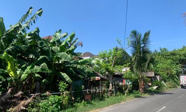 Disewakan Tanah  Di Lokasi Strategis Area Kuta Badung