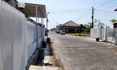 Alana Cemandi dibawah Harga Pasar