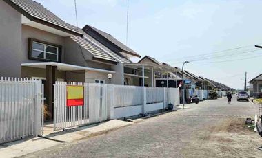 Alana Cemandi dibawah Harga Pasar