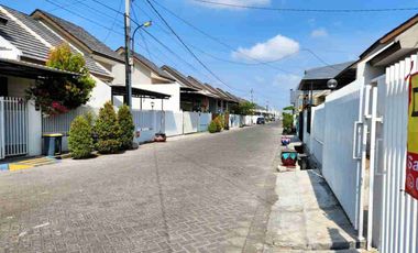 Alana Cemandi dibawah Harga Pasar