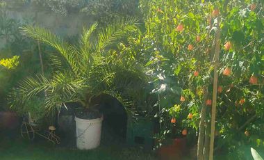 gran casa en villa Torino