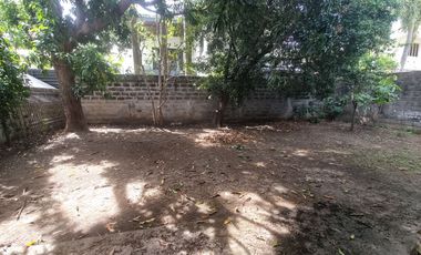 Classic Bungalow with Garden for Sale in Alabang Hills Village