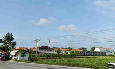 Tanah pinggir jalan raya di desa ketanggungan kec ketanggungan kab brebes