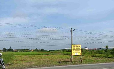 Tanah pinggir jalan raya di desa ketanggungan kec ketanggungan kab brebes