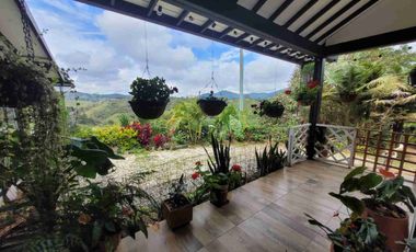 SE ARRIENDA/VENDE FINCA EN EL SANTUARIO