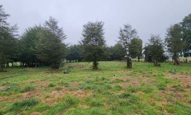 Oportunidad, Parcela con cabaña de 3 dormitorios, Condominio cerrado.