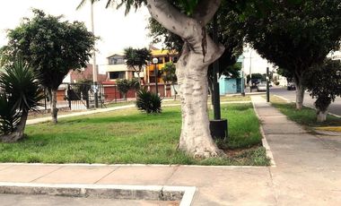BELLO Y AMPLIO DEPA. URB. JARDINES VIRU BELLAVISTA CERCA A PARQUE  (primer piso)