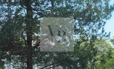 Renta de casa con amplio jardín