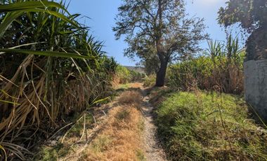 VENTA DE TERRENO EN YAUTEPEC -JOJUTLA