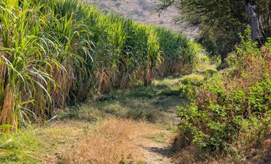 VENTA DE TERRENO EN YAUTEPEC -JOJUTLA