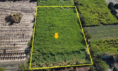 VENTA DE TERRENO EN YAUTEPEC -JOJUTLA
