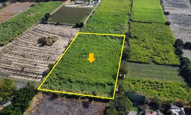 VENTA DE TERRENO EN YAUTEPEC -JOJUTLA