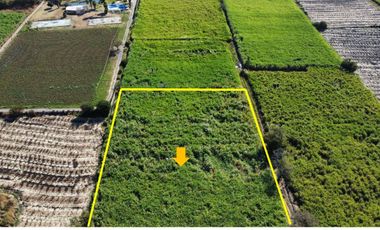 VENTA DE TERRENO EN YAUTEPEC -JOJUTLA