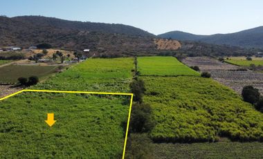 VENTA DE TERRENO EN YAUTEPEC -JOJUTLA