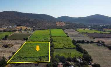 VENTA DE TERRENO EN YAUTEPEC -JOJUTLA