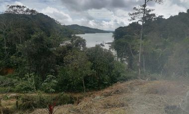 Venta Finca para Proyecto Turístico en San Roque Antioquia