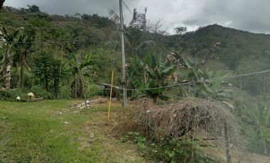 Venta Finca para Proyecto Turístico en San Roque Antioquia