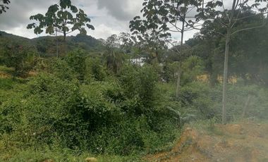 Venta Finca para Proyecto Turístico en San Roque Antioquia