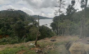Venta Finca para Proyecto Turístico en San Roque Antioquia