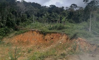 Venta Finca para Proyecto Turístico en San Roque Antioquia