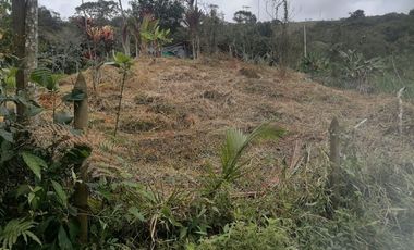 Venta Finca para Proyecto Turístico en San Roque Antioquia